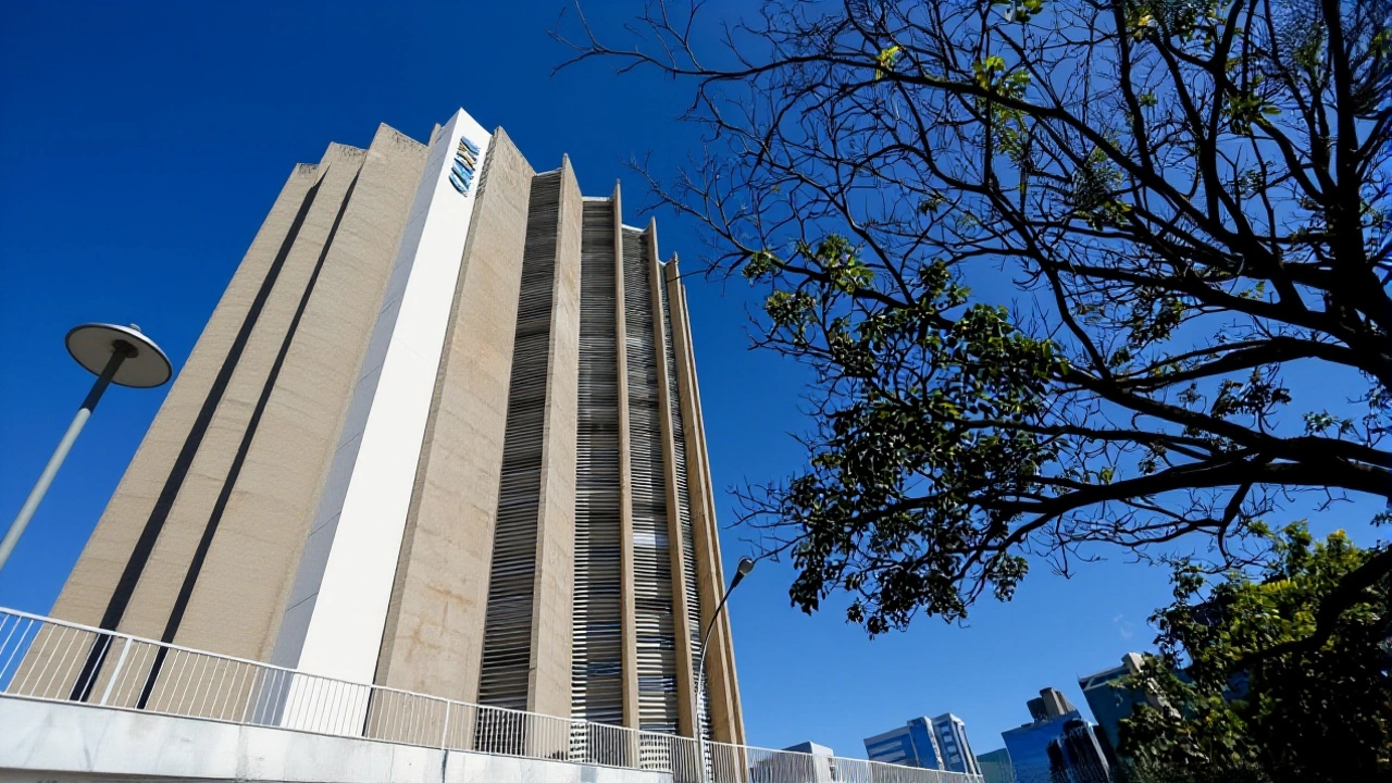 Próximos passos e monitoramento